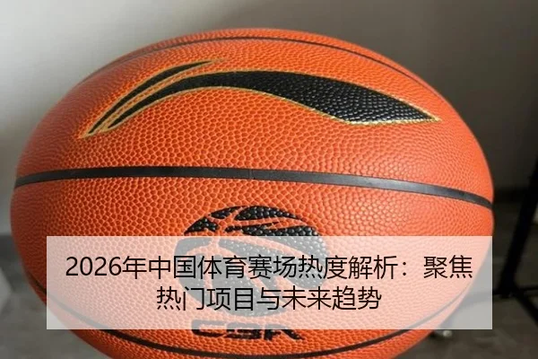 2026年中国体育赛场热度解析：聚焦热门项目与未来趋势